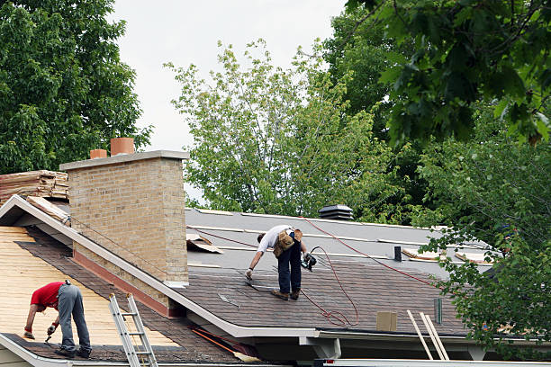 Best Roof Gutter Cleaning  in Vergennes, VT